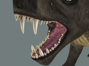 inostrancevia 3D Model
