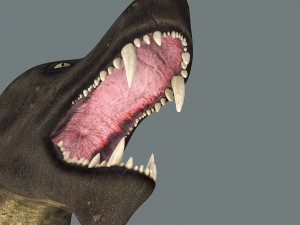 inostrancevia 3D Model