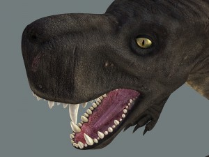 inostrancevia 3D Model