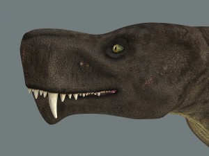 inostrancevia 3D Model