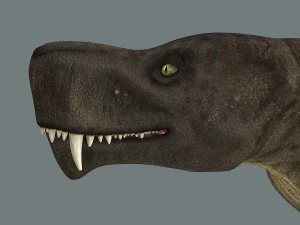 inostrancevia 3D Model