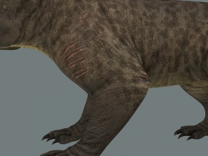 inostrancevia 3D Model