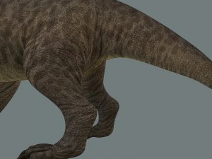 inostrancevia 3D Model