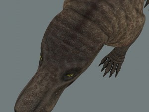 inostrancevia 3D Model