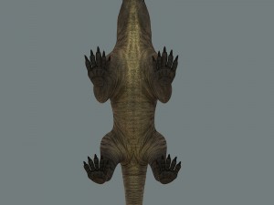 inostrancevia 3D Model