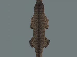 inostrancevia 3D Model