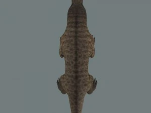 inostrancevia 3D Model