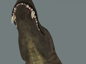 inostrancevia 3D Model