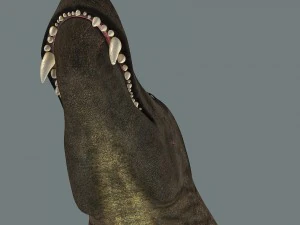 inostrancevia 3D Model