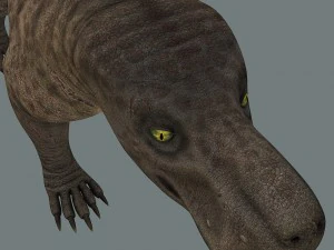 inostrancevia 3D Model