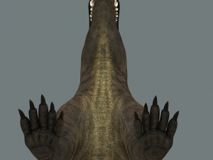 inostrancevia 3D Model