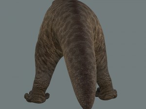 inostrancevia 3D Model