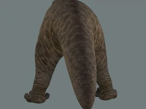 inostrancevia 3D Model