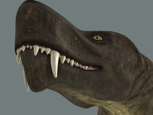 inostrancevia 3D Model
