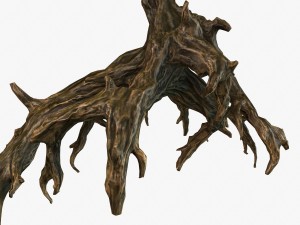 snag 3D 모델