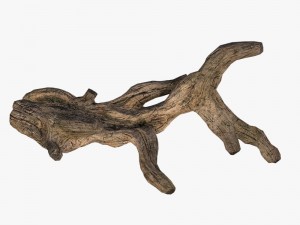 snag 3D Model