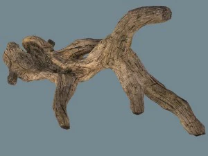 snag 3D Model