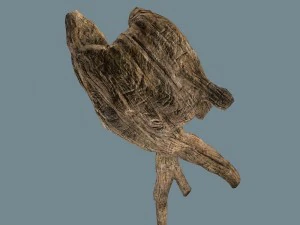 snag 3D Model