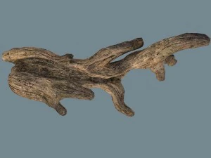 snag 3D Model