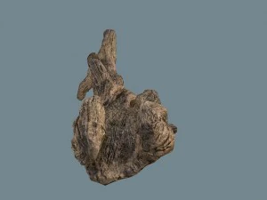 snag 3D Model