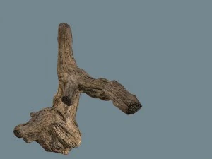 snag 3D Model