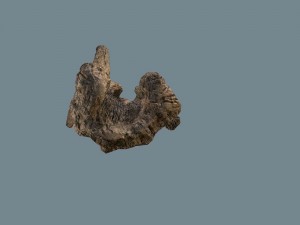 snag Modello 3D