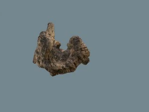snag 3D Model