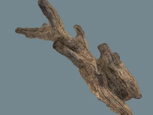 snag 3D Model
