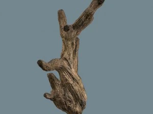 snag 3D Model