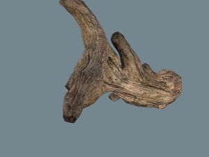 snag Modello 3D