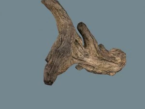 snag 3D Model