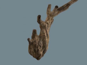 snag Modello 3D