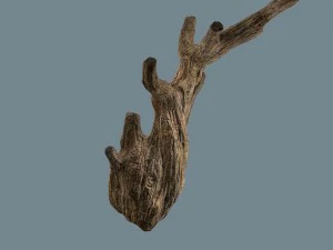 snag 3D Model