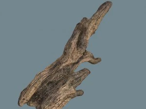 snag 3D Model