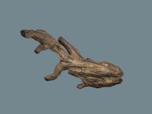 snag Modello 3D