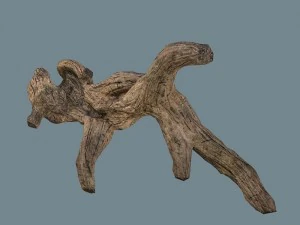 snag 3D Model