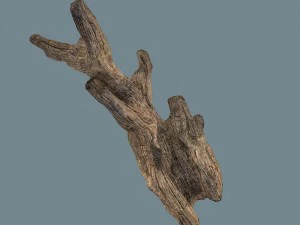 snag 3D Model