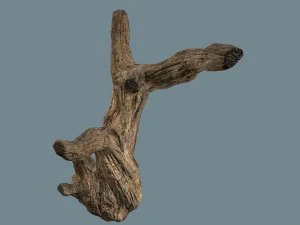 snag 3D Model