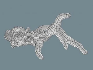 snag 3D Model