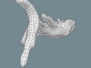 snag 3D Model