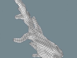 snag Modello 3D