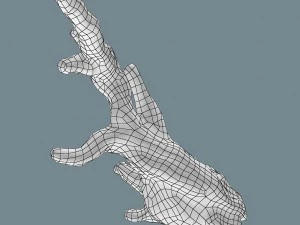 snag 3D Model