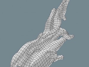 snag Modello 3D