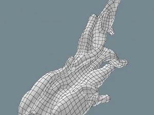 snag 3D Model