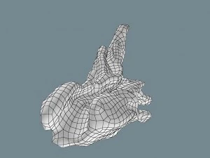snag 3D Model