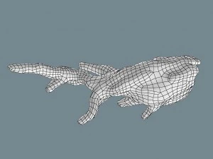 snag 3D Model
