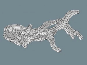 snag 3D Model