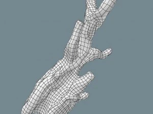 snag 3D Model