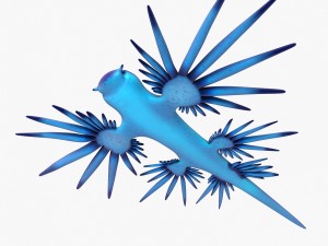 glaucus atlanticus 3D-Modell