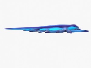 glaucus atlanticus 3D-Modell